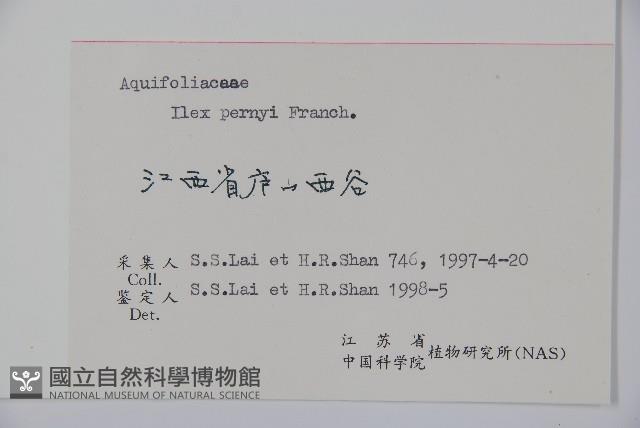 貓兒刺藏品圖，第2張