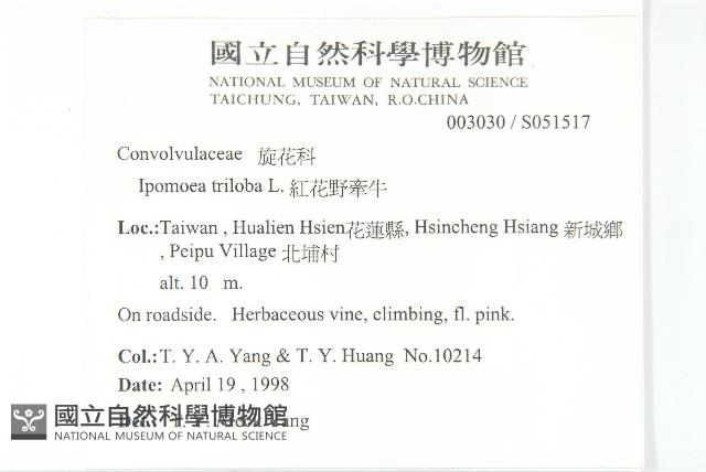 紅花野牽牛藏品圖，第2張