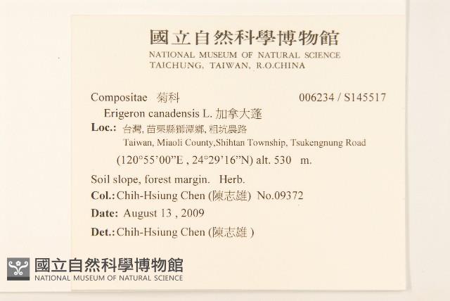 加拿大蓬藏品圖，第2張