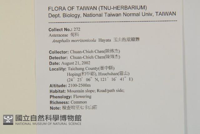 玉山抱莖籟簫藏品圖，第2張