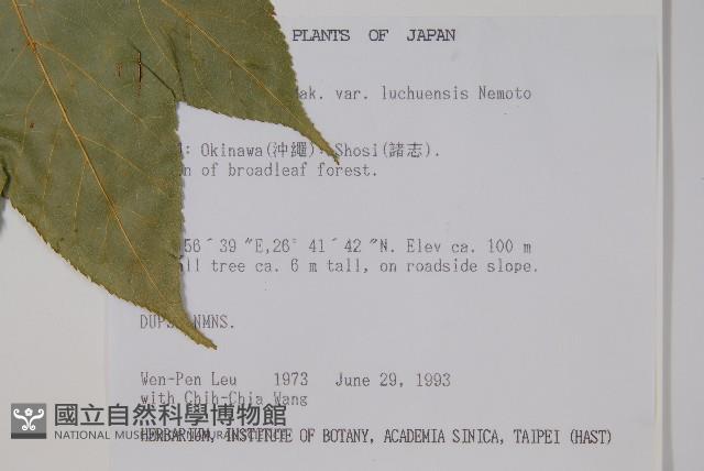 登錄號:S016657藏品圖，第2張