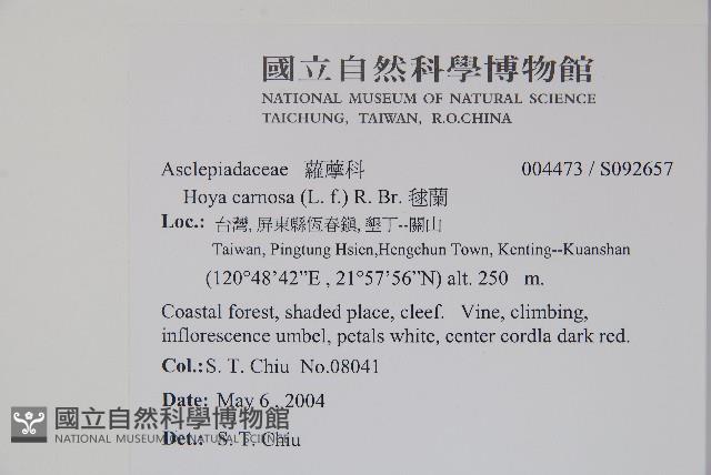 毬蘭藏品圖，第2張