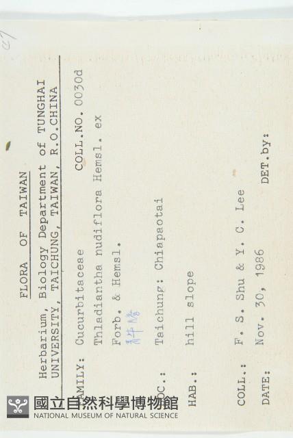 青牛膽藏品圖，第2張