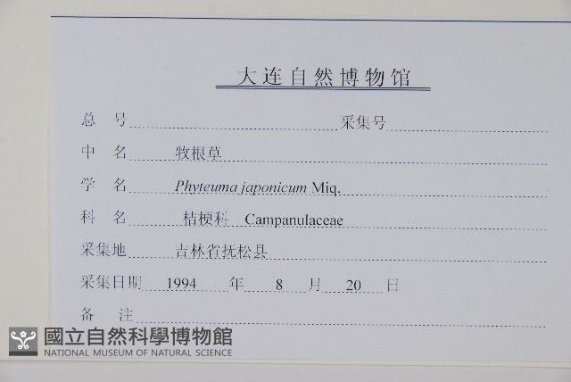 牧根草藏品圖，第2張