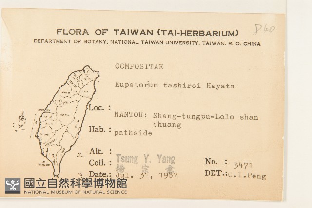田代氏澤蘭藏品圖，第2張