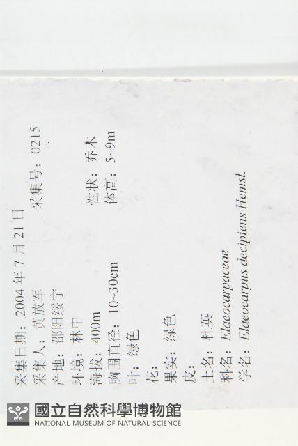 杜英藏品圖，第2張