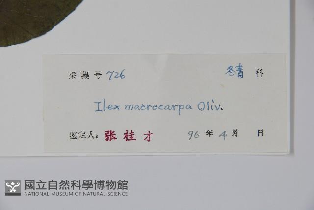 Accession Number:S042057 Collection Image, Figure 2, Total 2 Figures