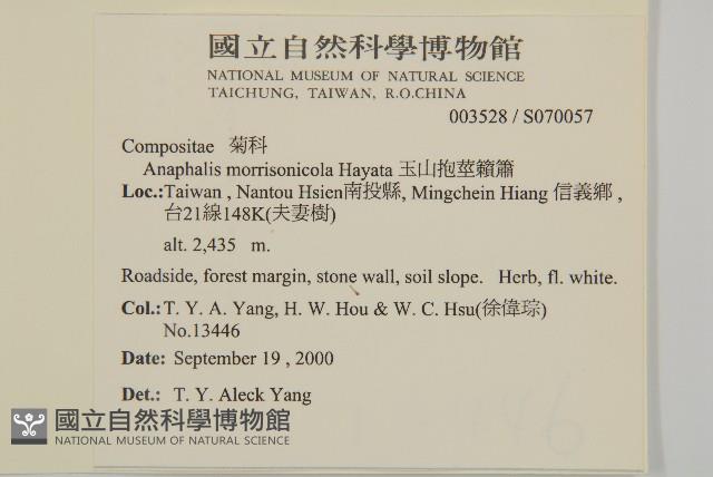 玉山抱莖籟簫藏品圖，第2張