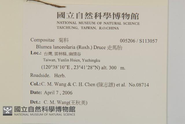 走馬胎藏品圖，第2張