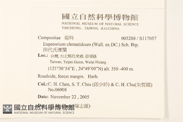 田代氏澤蘭藏品圖，第2張