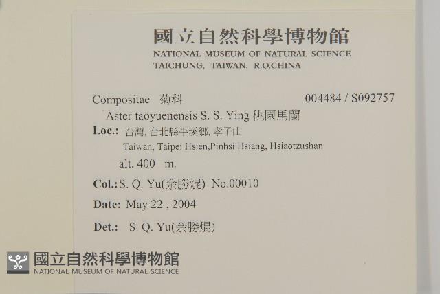 桃園馬蘭藏品圖，第2張