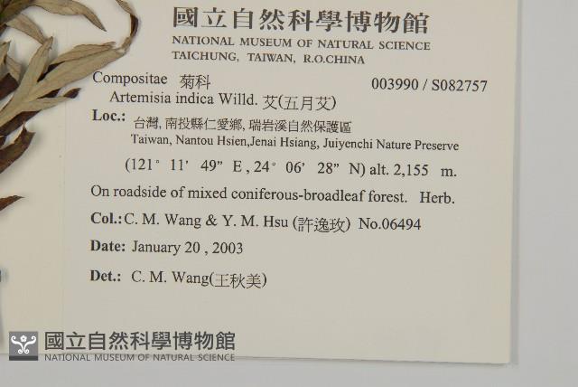 中南蒿藏品圖，第2張