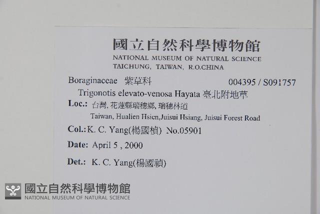 臺北附地草藏品圖，第2張