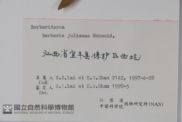 濠豬刺藏品圖，第2張