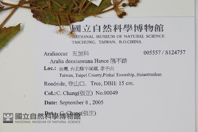 鵲不踏藏品圖，第2張