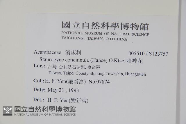 哈哼花藏品圖，第2張