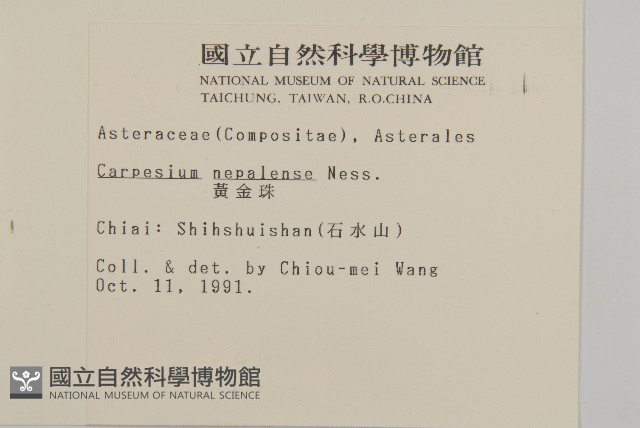 黃金珠藏品圖，第2張
