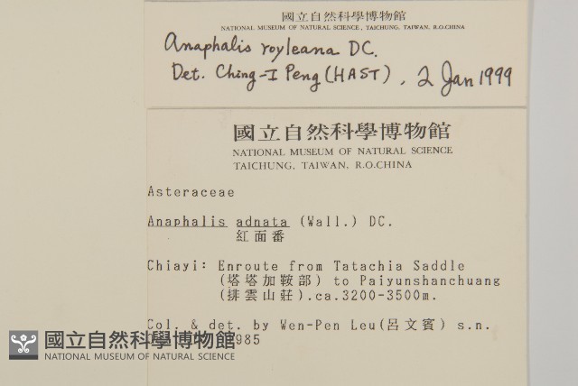 能高籟簫藏品圖，第2張