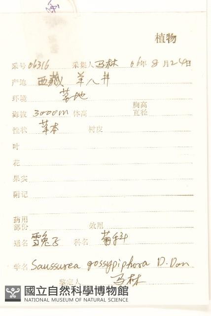 雪兔子藏品圖，第2張