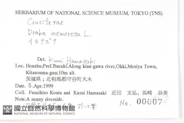 葶藶藏品圖，第2張