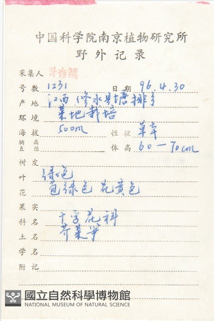 芥菜藏品圖，第2張