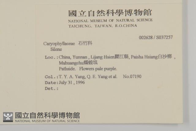 登錄號:S037257藏品圖，第2張