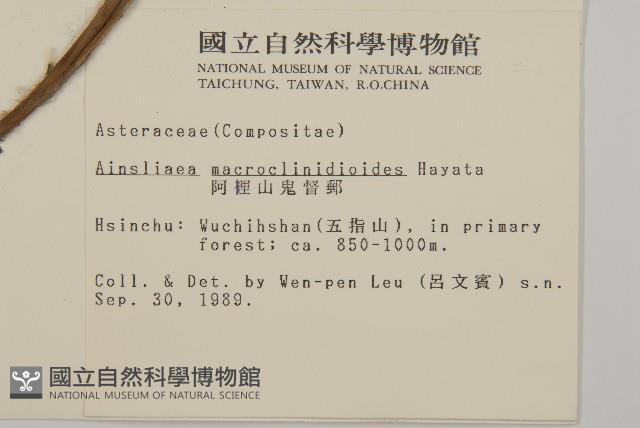 阿里山鬼督郵藏品圖，第2張