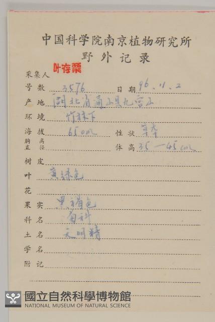 天名精藏品圖，第2張