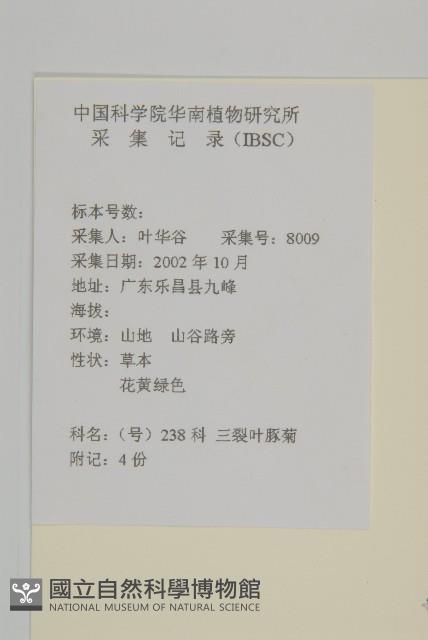 豬草、瘤果菊藏品圖，第2張