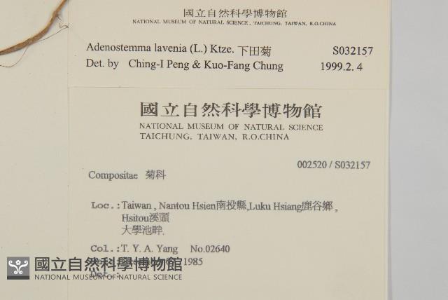 下田菊藏品圖，第2張