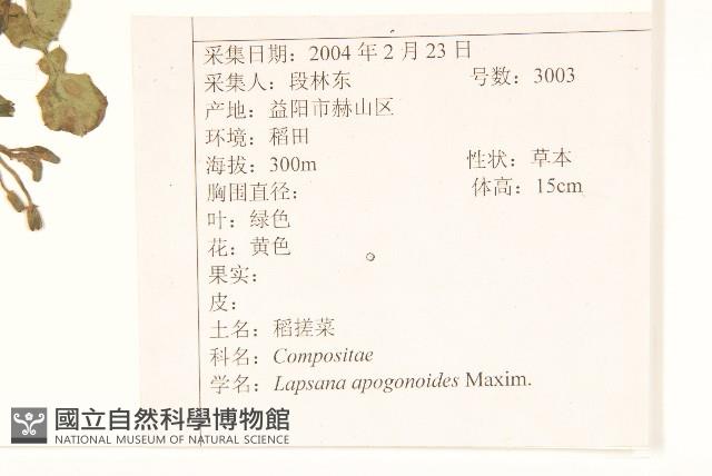 稻槎菜藏品圖，第2張