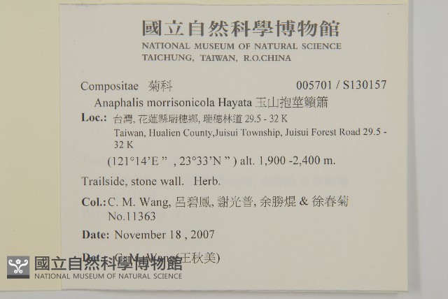 玉山抱莖籟簫藏品圖，第2張