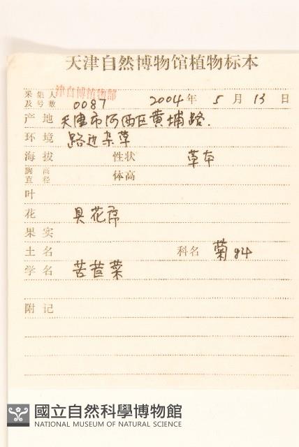 苦滇菜、苦菜藏品圖，第2張