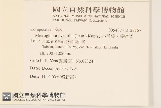 小舌菊、蔓綿菜藏品圖，第2張