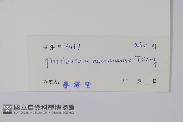 海南杜仲藤藏品圖，第2張