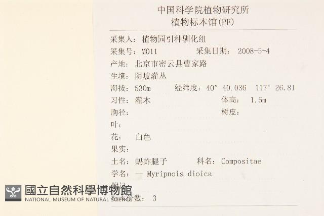 螞蚱腿子藏品圖，第2張