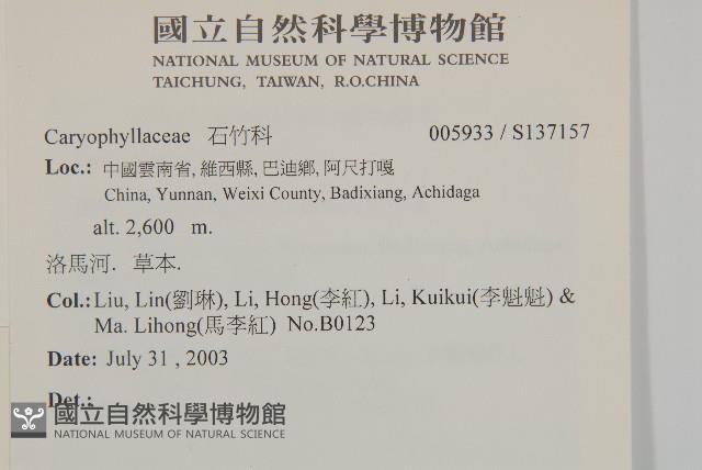 登錄號:S137157藏品圖，第2張