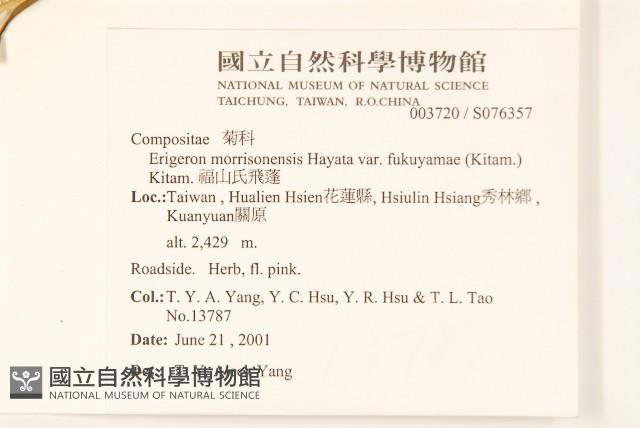 Accession Number:S076357 Collection Image, Figure 2, Total 2 Figures