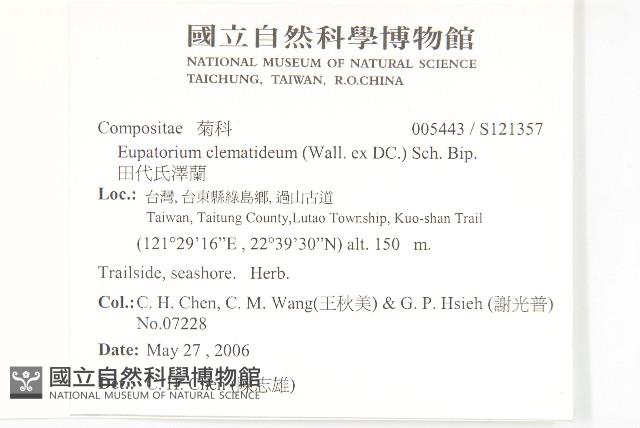 田代氏澤蘭藏品圖，第2張