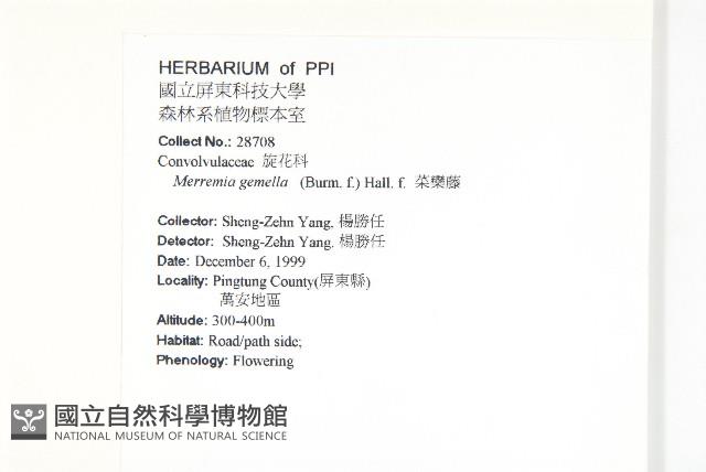 菜欒藤藏品圖，第2張