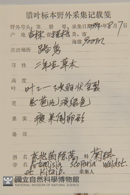 黃蒿藏品圖，第2張