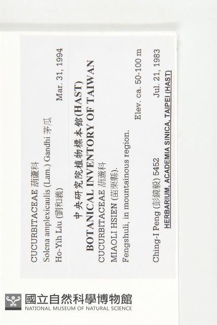 茅瓜藏品圖，第2張