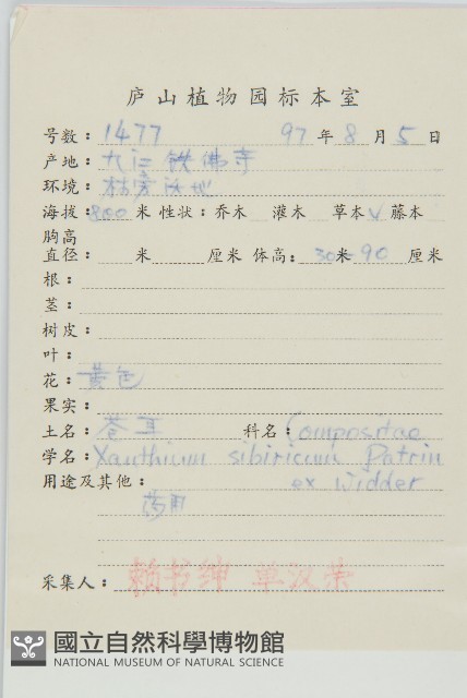 蒼耳藏品圖，第2張