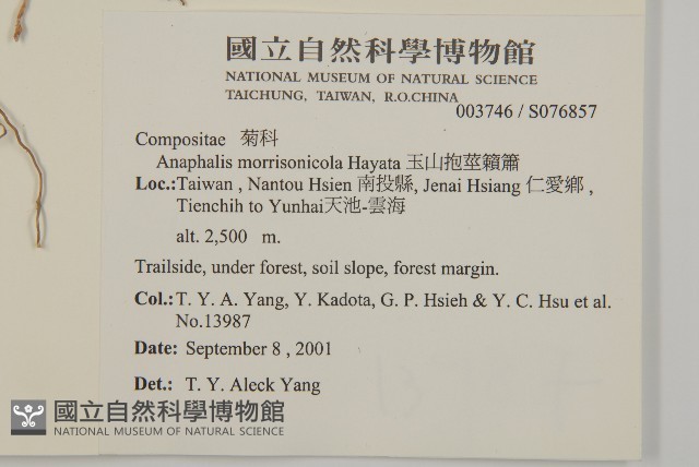 玉山抱莖籟簫藏品圖，第2張