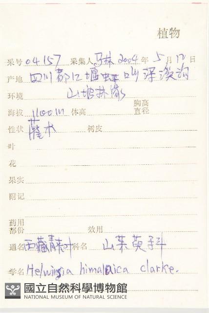 西藏青莢葉藏品圖，第2張