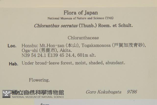 及己藏品圖，第2張