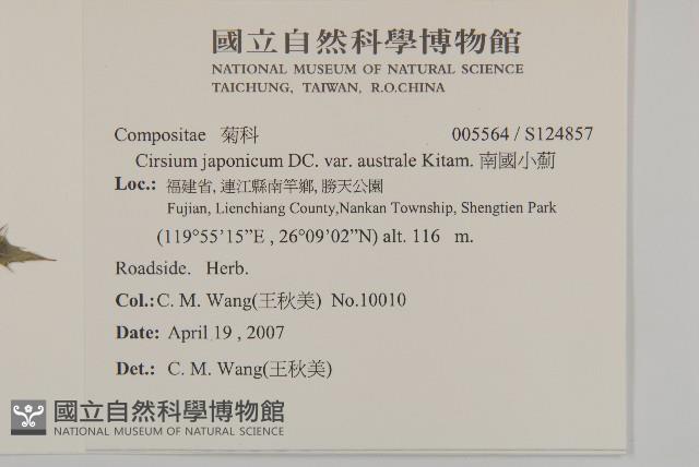 南國小薊藏品圖，第2張