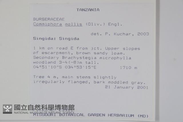 登錄號:S093857藏品圖，第2張