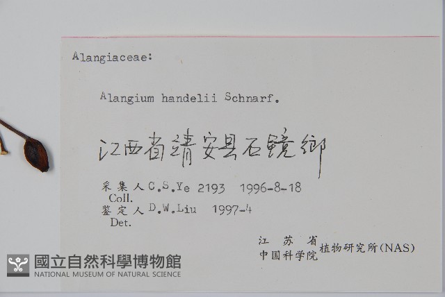 登錄號:S057857藏品圖，第2張
