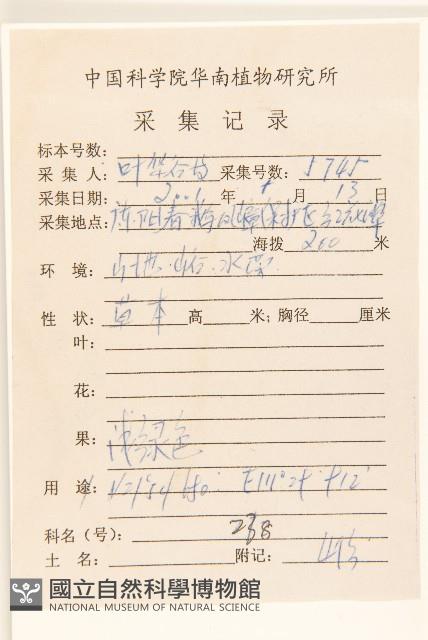 沼菊藏品圖，第2張